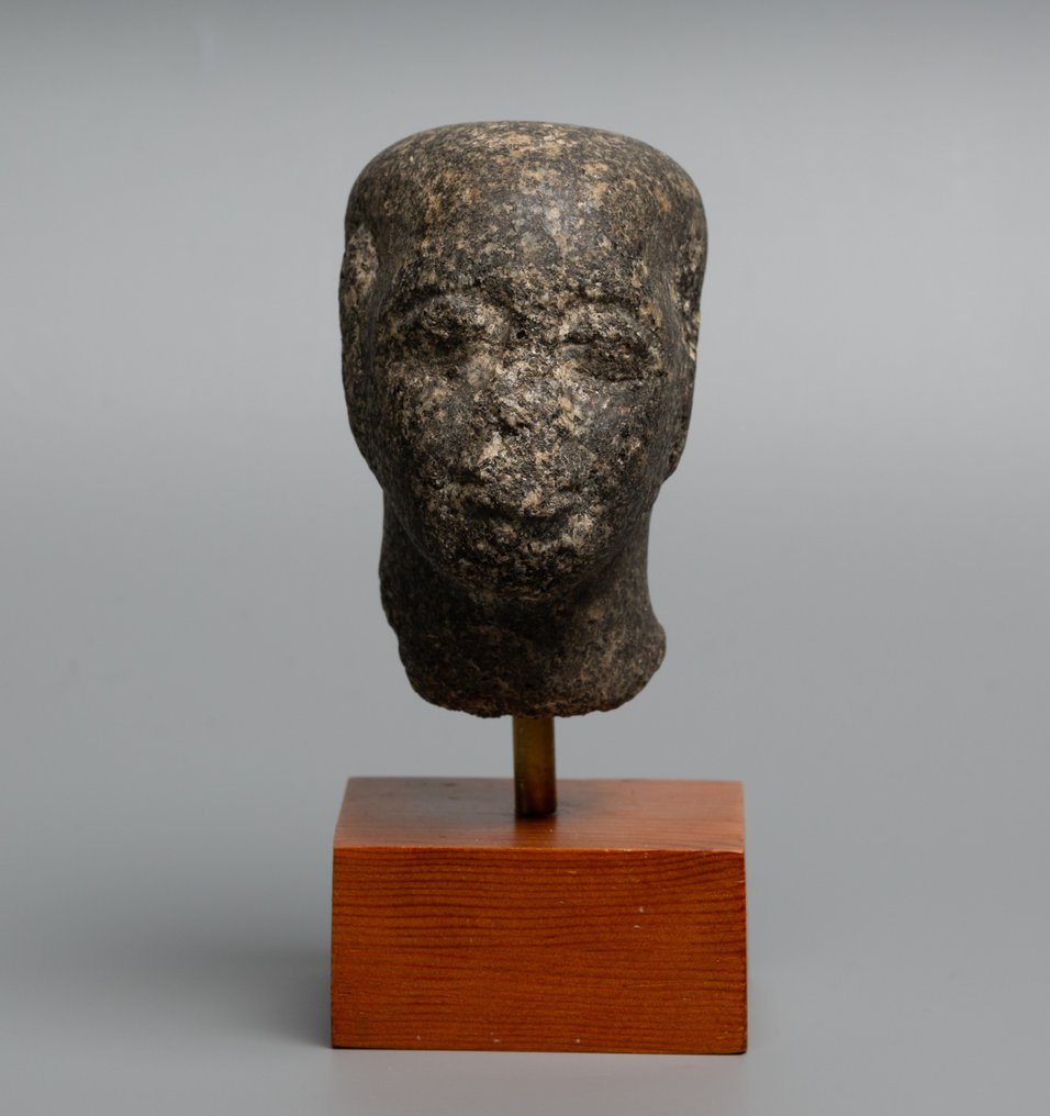 Ancient Egyptian Greenstone Head of a Priest. Late Period, 664-332 BC. 9.5 cm height. Spanish Export License. #1.0