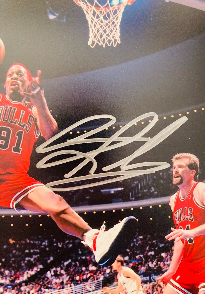 Chicago Bulls - NBA - Dennis Rodman Photograph  #2.1