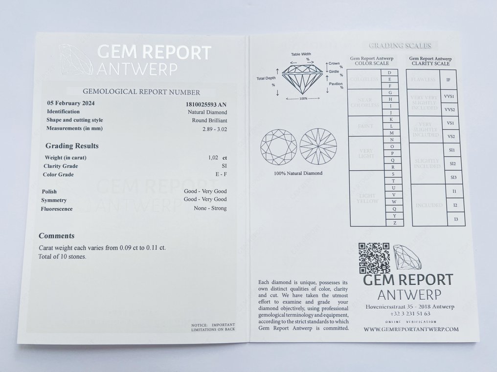 10 pcs Diamant  (Natural)  - 1.02 ct - Rund - E, F - SI1, SI2 - Gem Report Antwerpen (GRA) #2.2