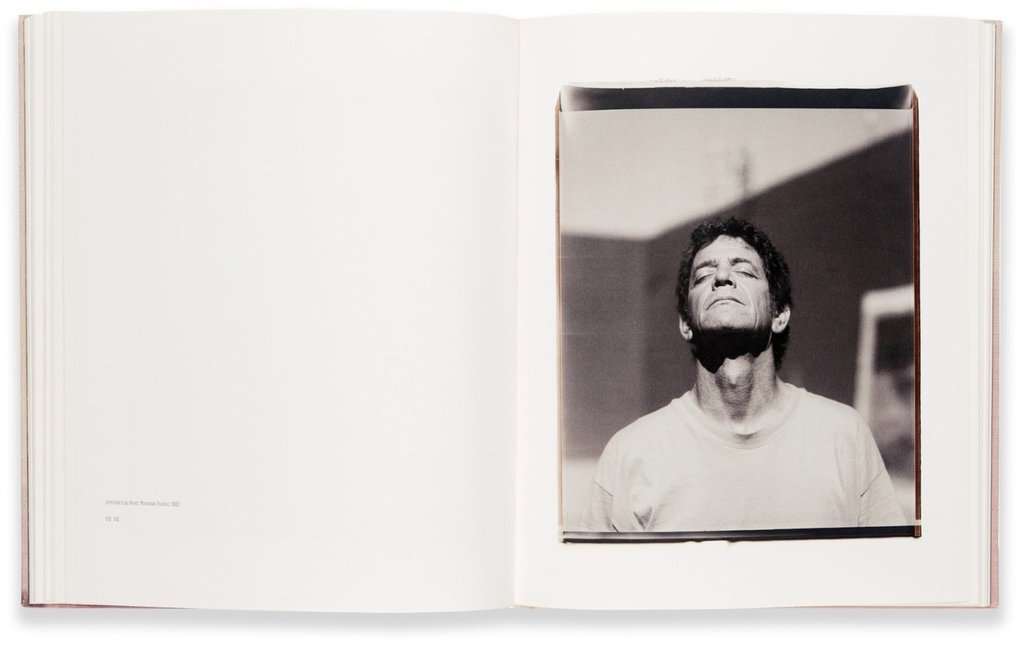 Julian Schnabel - Polaroids - 2010 #1.1