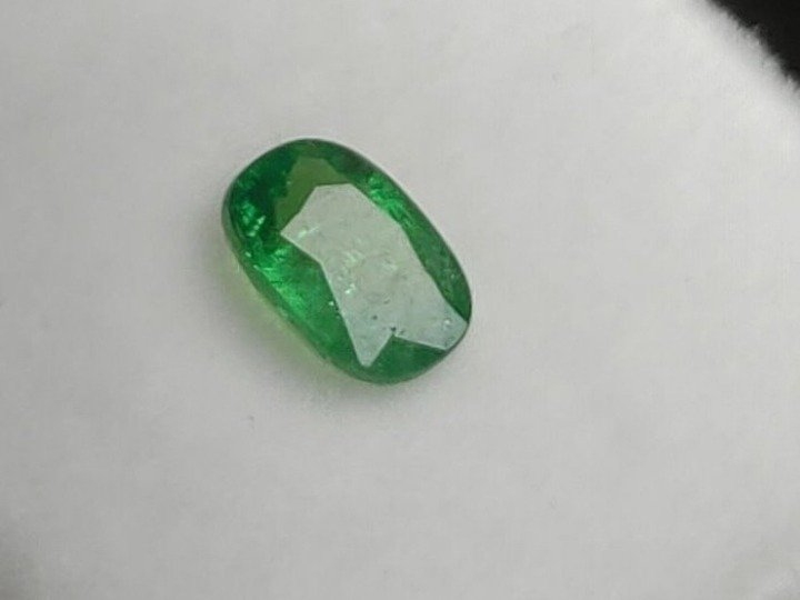 1 pcs  Verde Turmalină  - 0.62 ct - ALGT (Laboratorul pentru testarea pietrelor prețioase din Anvers) #2.1