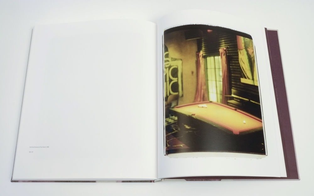 Julian Schnabel - Polaroids - 2010 #2.3