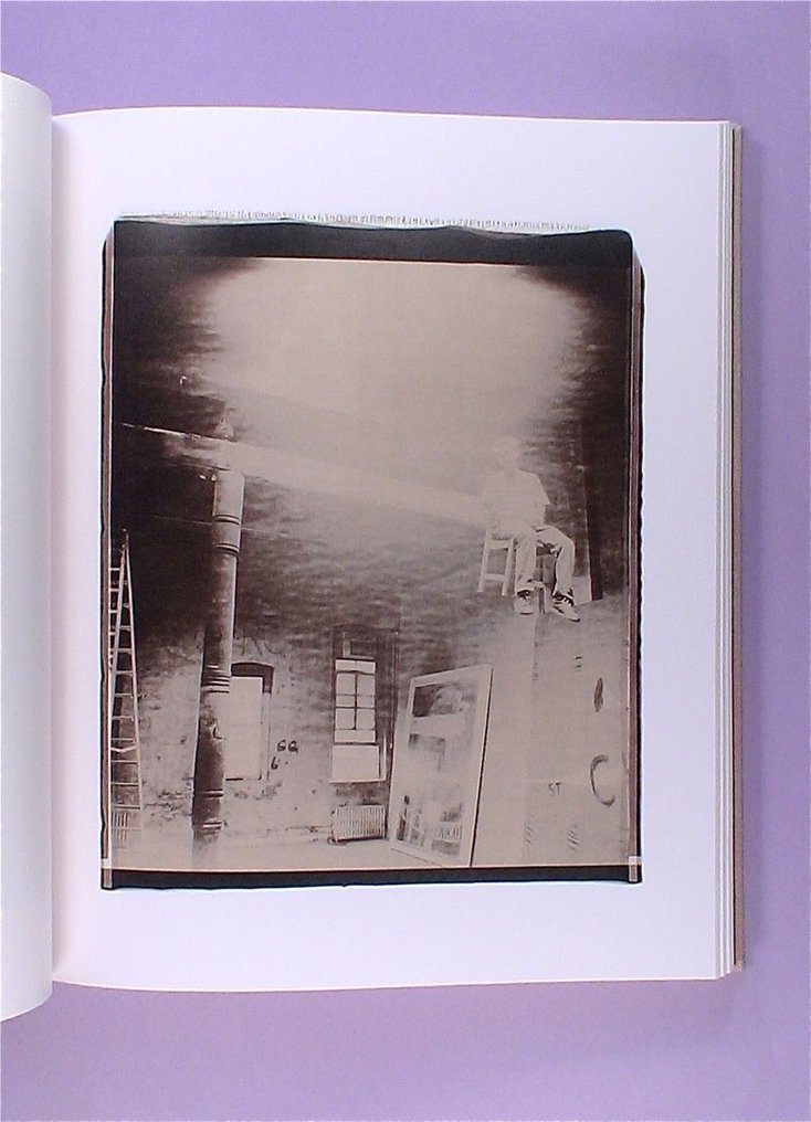 Julian Schnabel - Polaroids - 2010 #3.2