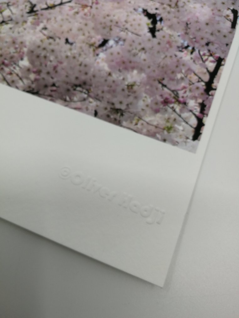 Oliver Hadji - Sakura, Tokio #3.2