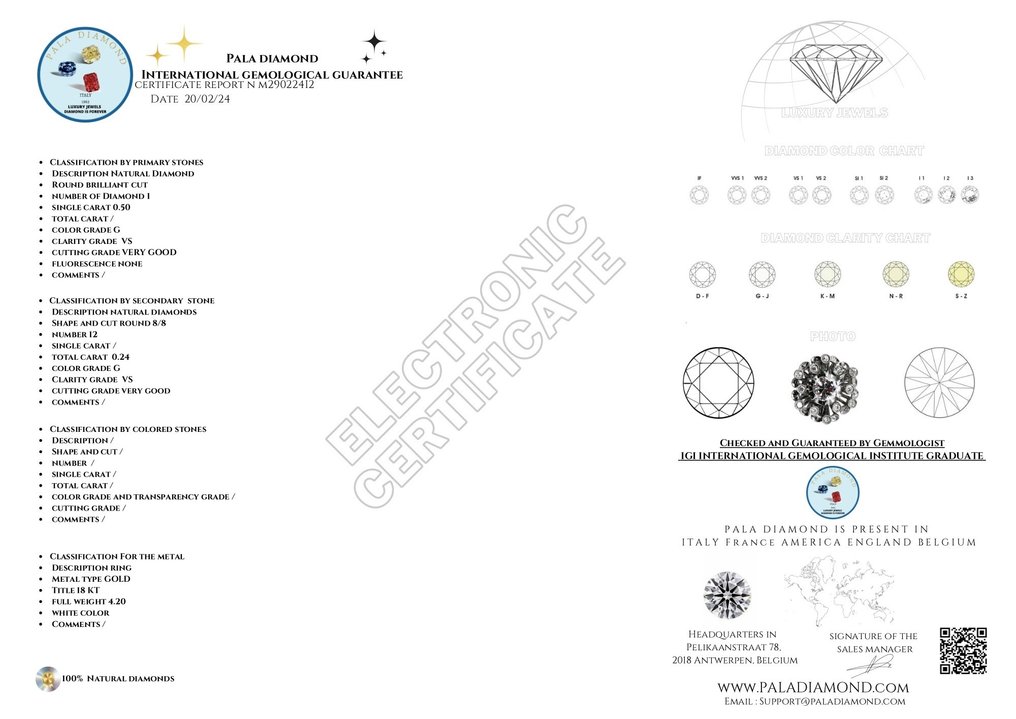 Pala Diamond Co. - Ring Weißgold Diamant #2.1