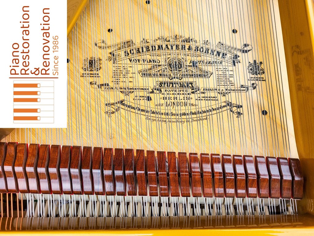Johann Lorenz Schiedmayer - 180 -  - 大钢琴 - 德国 - 1921 #3.2