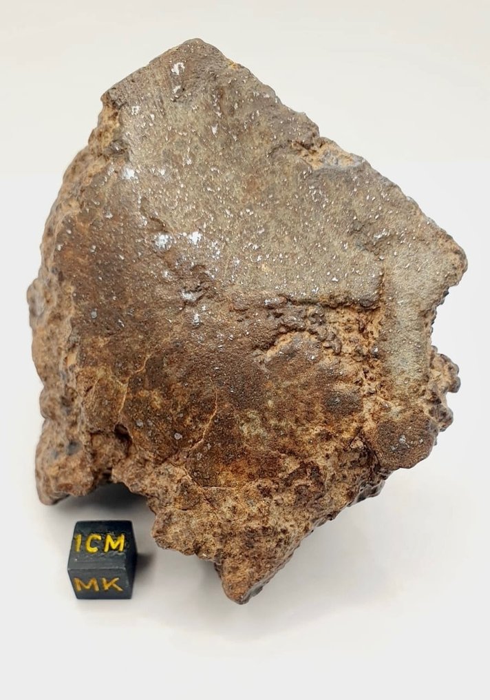 Météorite NWA non classifiée Météorite de Chondrite - Hauteur : 90 mm - Largeur : 80 mm - 420 g - (1) #2.1