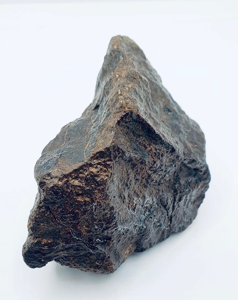 未分類的 NWA 隕石 球粒隕石 - 高度: 100 mm - 闊度: 50 mm - 311 g - (1) #1.2