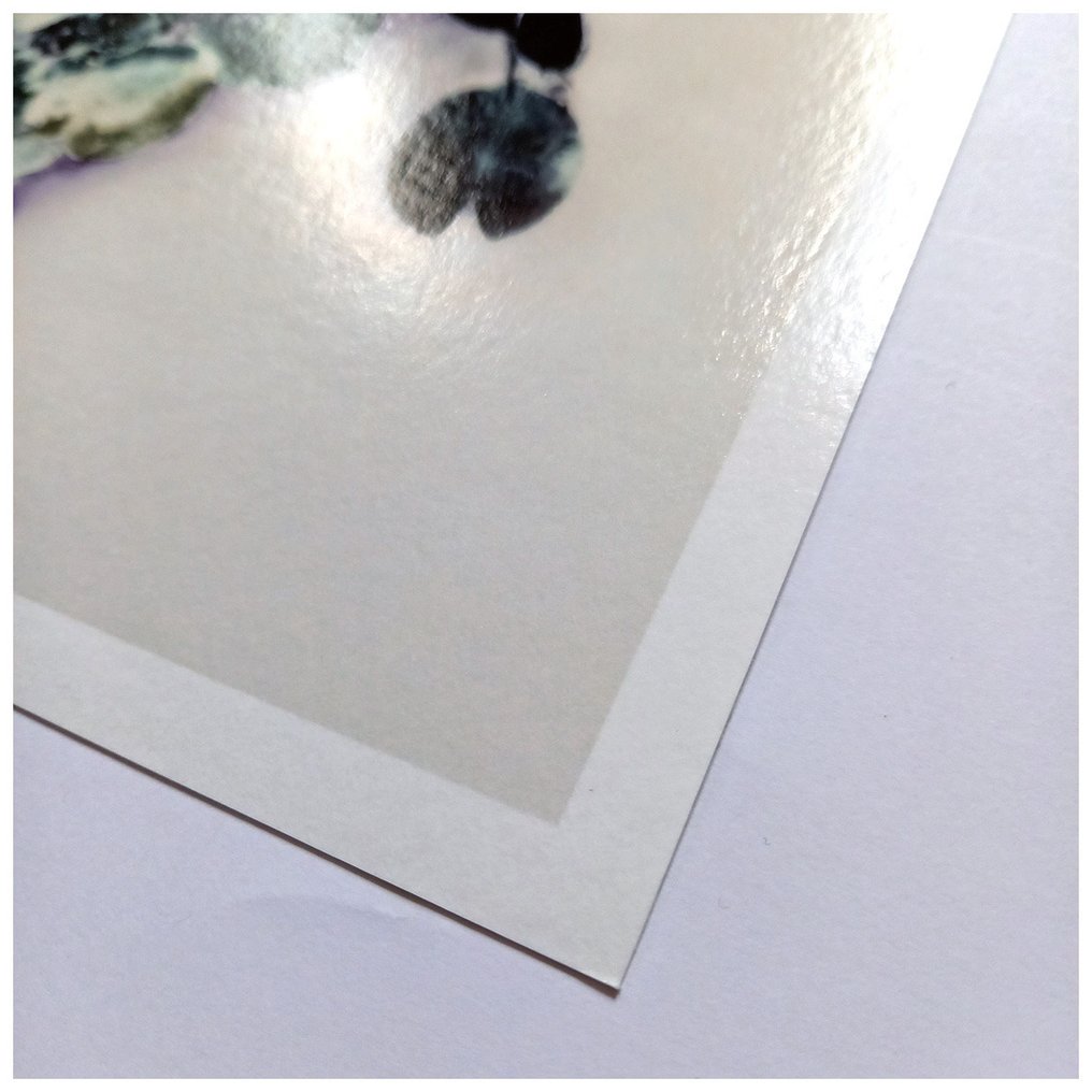 Bernd Lieven - The rise and fall of Waterlilies X #3.2