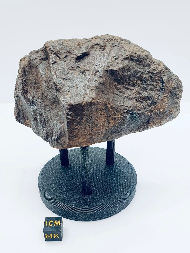 Uklassificeret NWA meteorit Kondrit - Højde: 100 mm - Bredde: 50 mm - 311 g - (1) #1.1