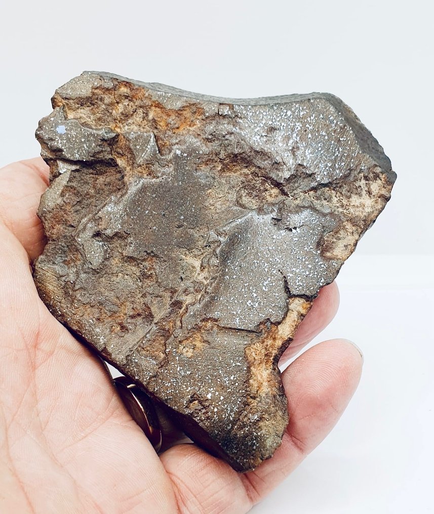 Meteorit NWA neclasificat Chondrite Meteorit - Înălțime: 100 mm - Lățime: 80 mm - 333 g - (1) #1.1