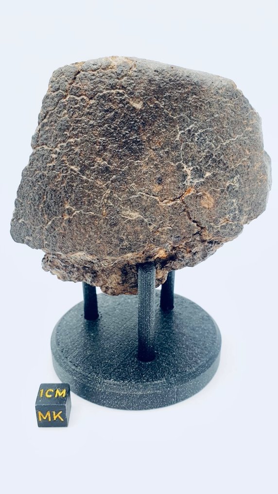 Uklassificeret NWA meteorit Kondrit - Højde: 90 mm - Bredde: 80 mm - 420 g - (1) #1.1