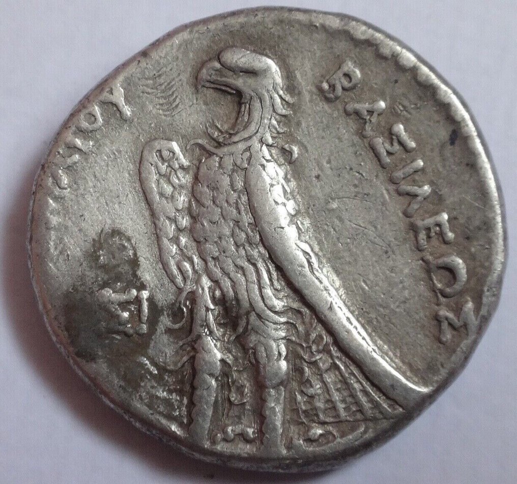 Ptolemaicin kuningaskunta. Ptolemy II Philadelphus (285-246 eaa.). Tetradrachm Sidon, 285/4 BC #1.2