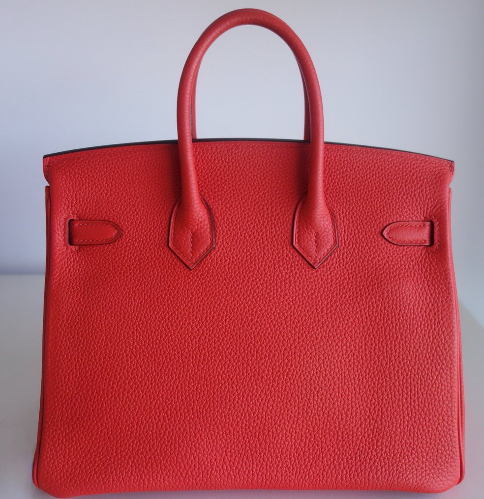 Hermes Birkin 25 Handtas Catawiki