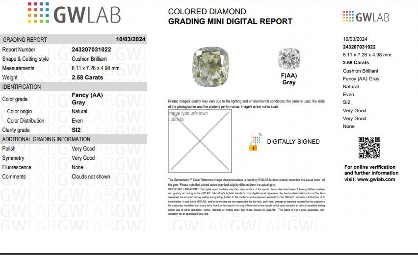 1 pcs Diamante  (Colorato naturale)  - 2.58 ct - Cuscino - Fancy Grigio - SI2 #3.2