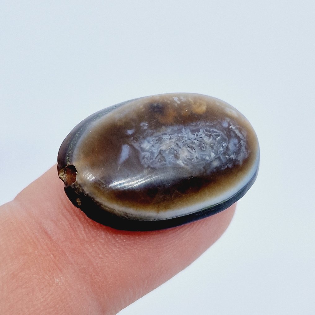 Persan ancien Agate à bandes naturelles Talisman de perles rituelles œil de Bouddha - 15.8 mm #1.1