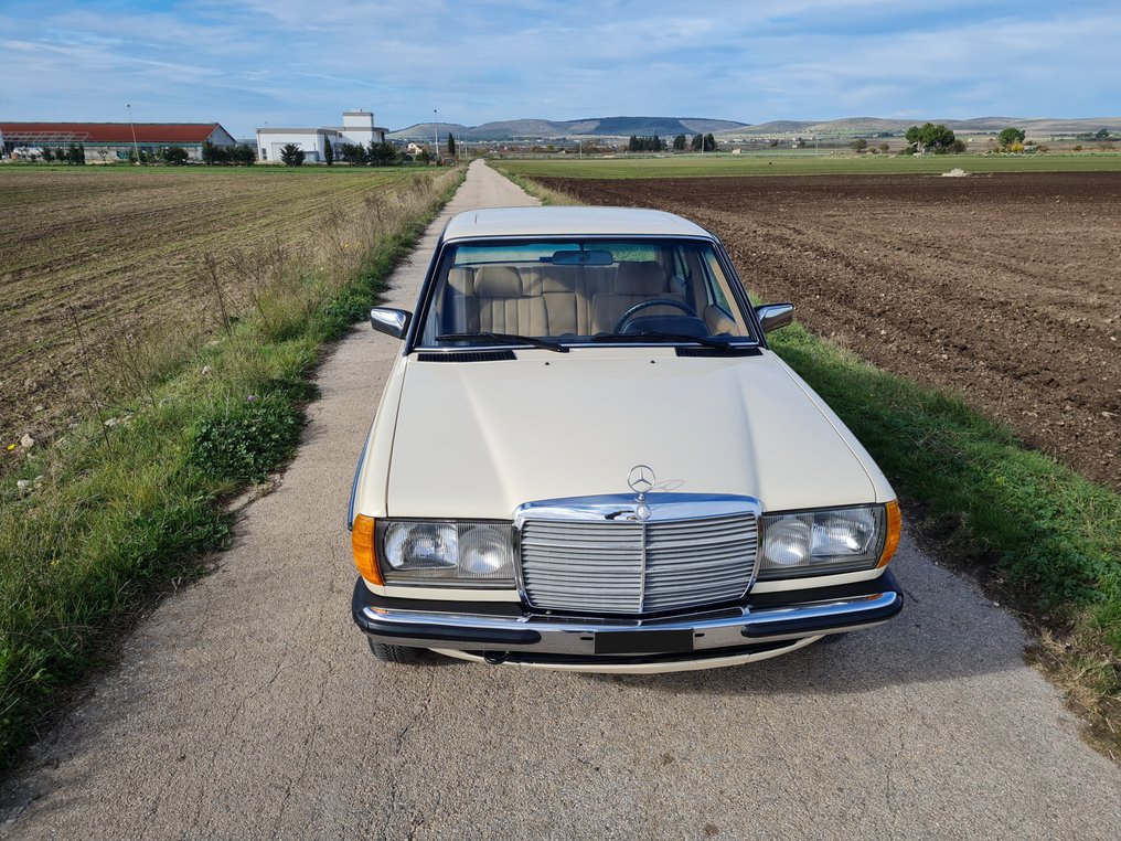 Mercedes-Benz - 200 W123 - 1984 #3.1