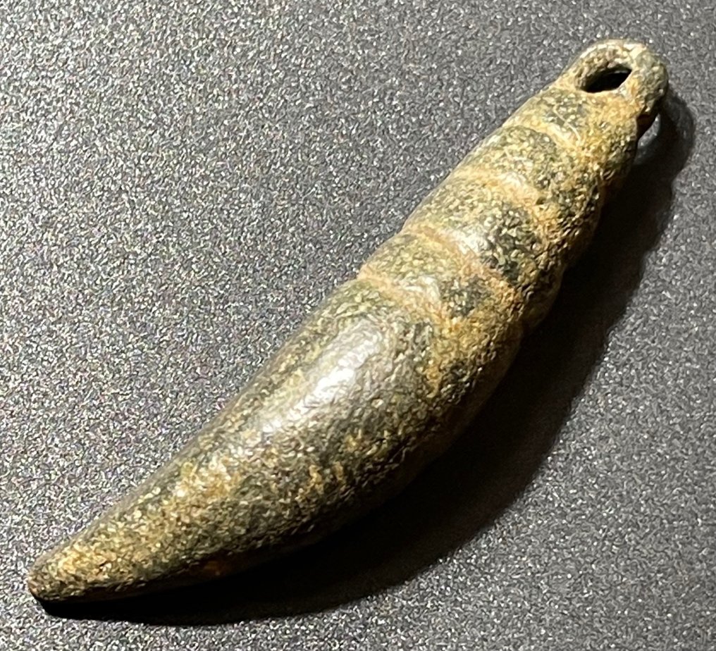 Viking periode Brons Klassiek apotropisch zogenaamde '' Evil Tooth '' amulet met een groter dan normaal formaat en #1.2