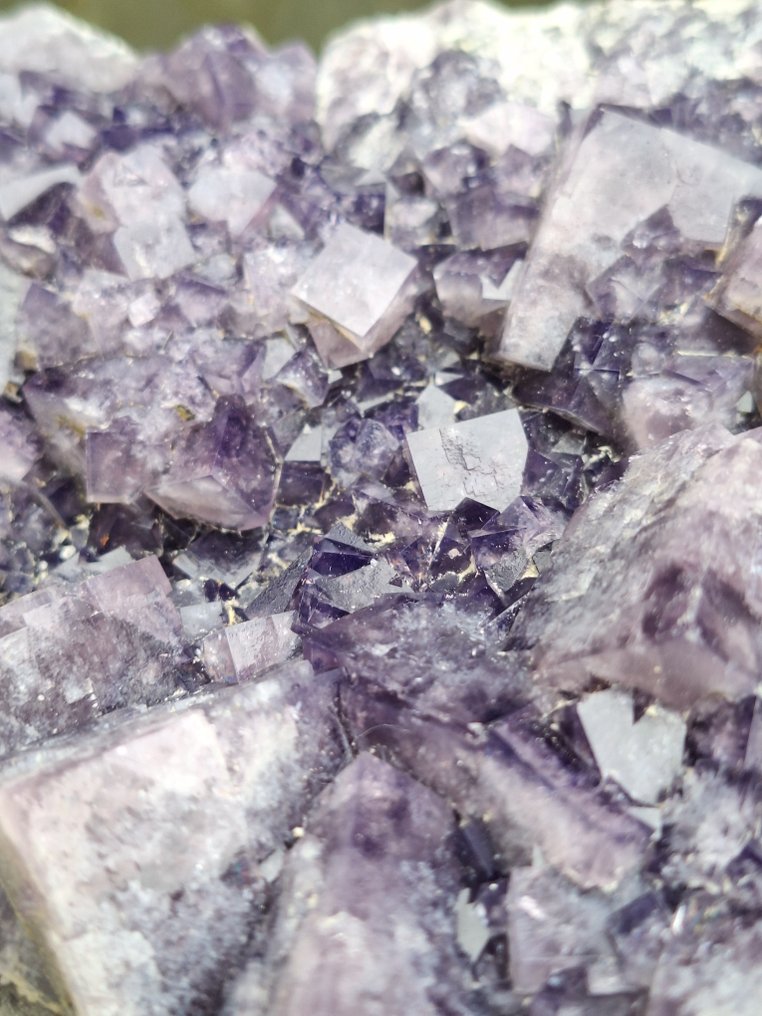 XL Fluorite (with daylight fluorescence) Crystals on matrix - Height: 17 cm - Width: 13 cm- 4238 g #3.2