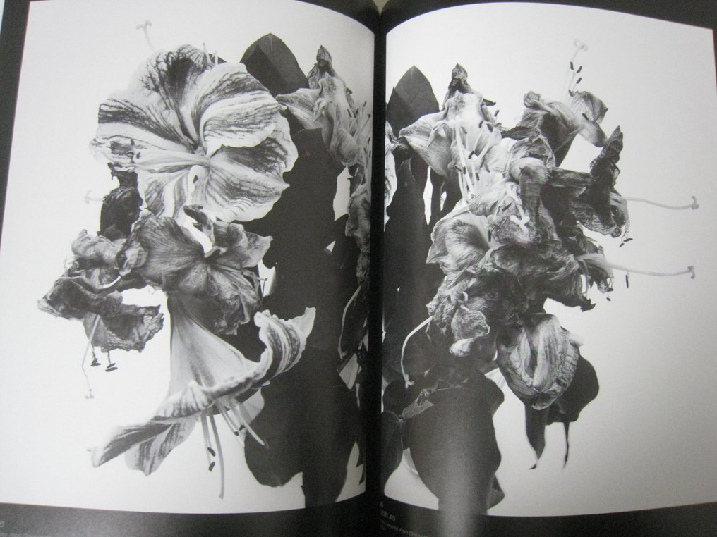 Robert Mapplethorpe & Nobuyoshi Araki - Hundreds of flowers - 2001 #4.3