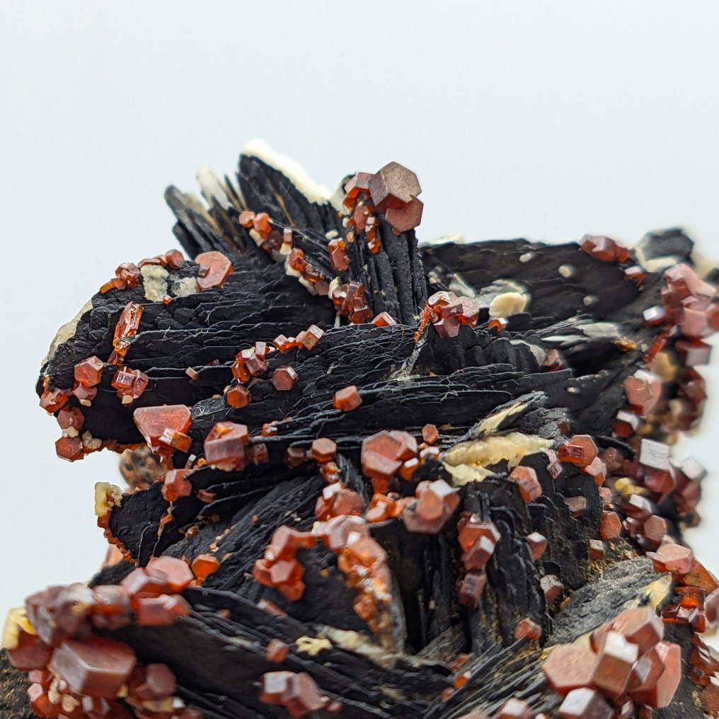 RED VANADINITE Blood, 200+ κρύσταλλα σε BLACK BARITE, WHITE CALCIE Κρύσταλλοι στη μήτρα - Ύψος: 111 mm - Πλάτος: 87 mm- 424.65 g #1.2