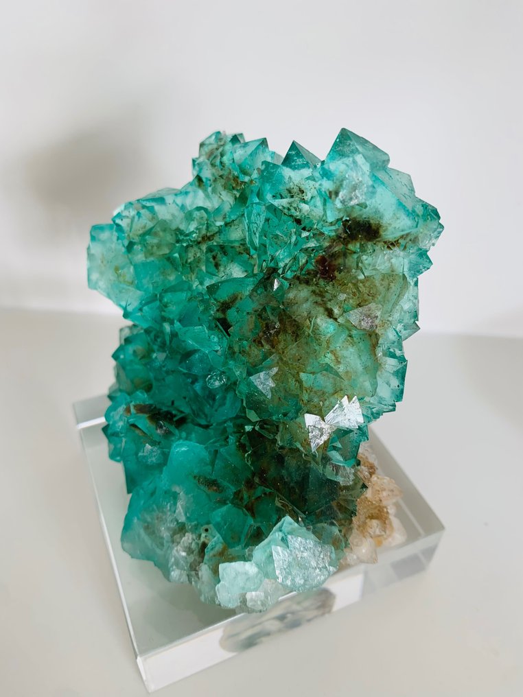 Fluorit Kristalle auf Muttergestein - Höhe: 9 cm - Breite: 8.5 cm- 430 g #1.1