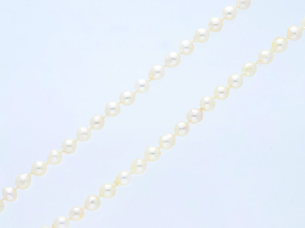 Utan reservationspris - Halsband Akoya pärlor - Vit, knuten, 75 cm #2.1