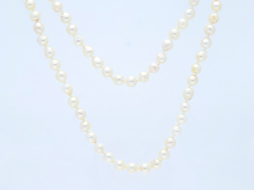 Senza Prezzo di Riserva - Collana Perle Akoya - Bianco, Annodato, 90 cm #1.1