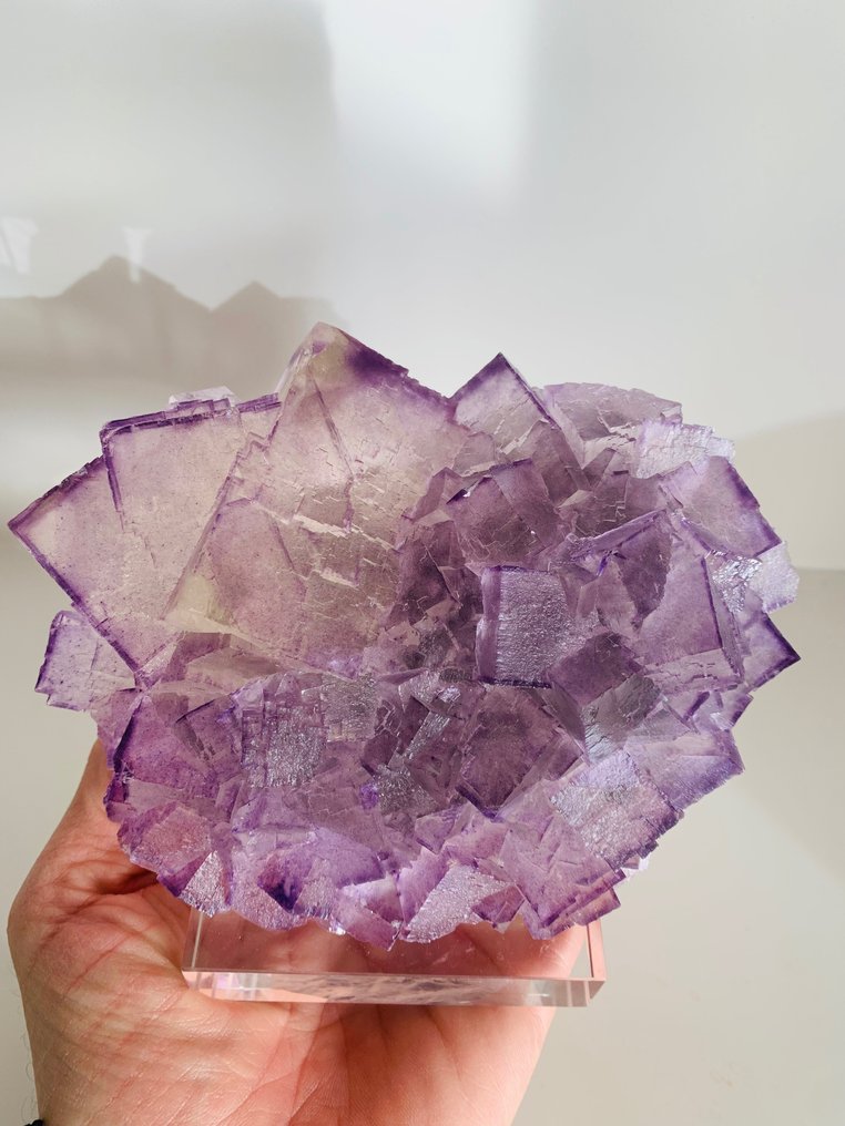 萤石 水晶群 - 高度: 15 cm - 宽度: 12 cm- 1400 g #1.2