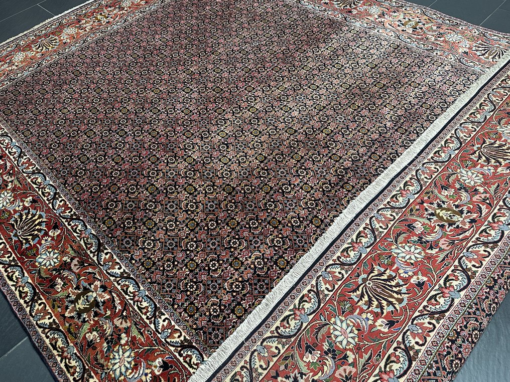 Fantastique laine de liège Bidjar - Tapis - 345 cm - 250 cm #3.1