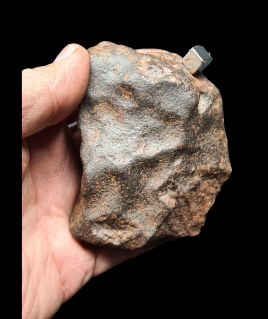 來自阿爾及利亞的未分類球粒隕石 - 高度: 10 cm - 闊度: 8 cm - 454.5 g - (1) #2.2