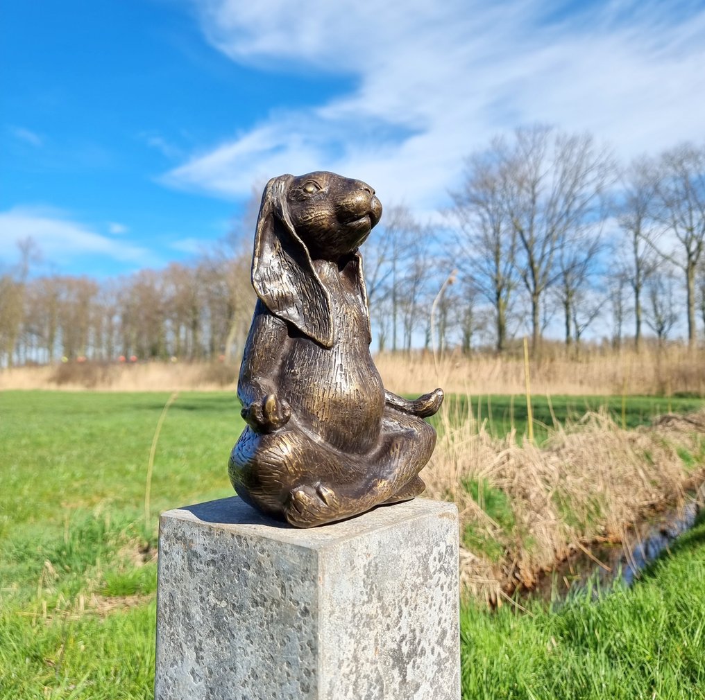 Figurine - A meditating zen hare - Bronze #2.1