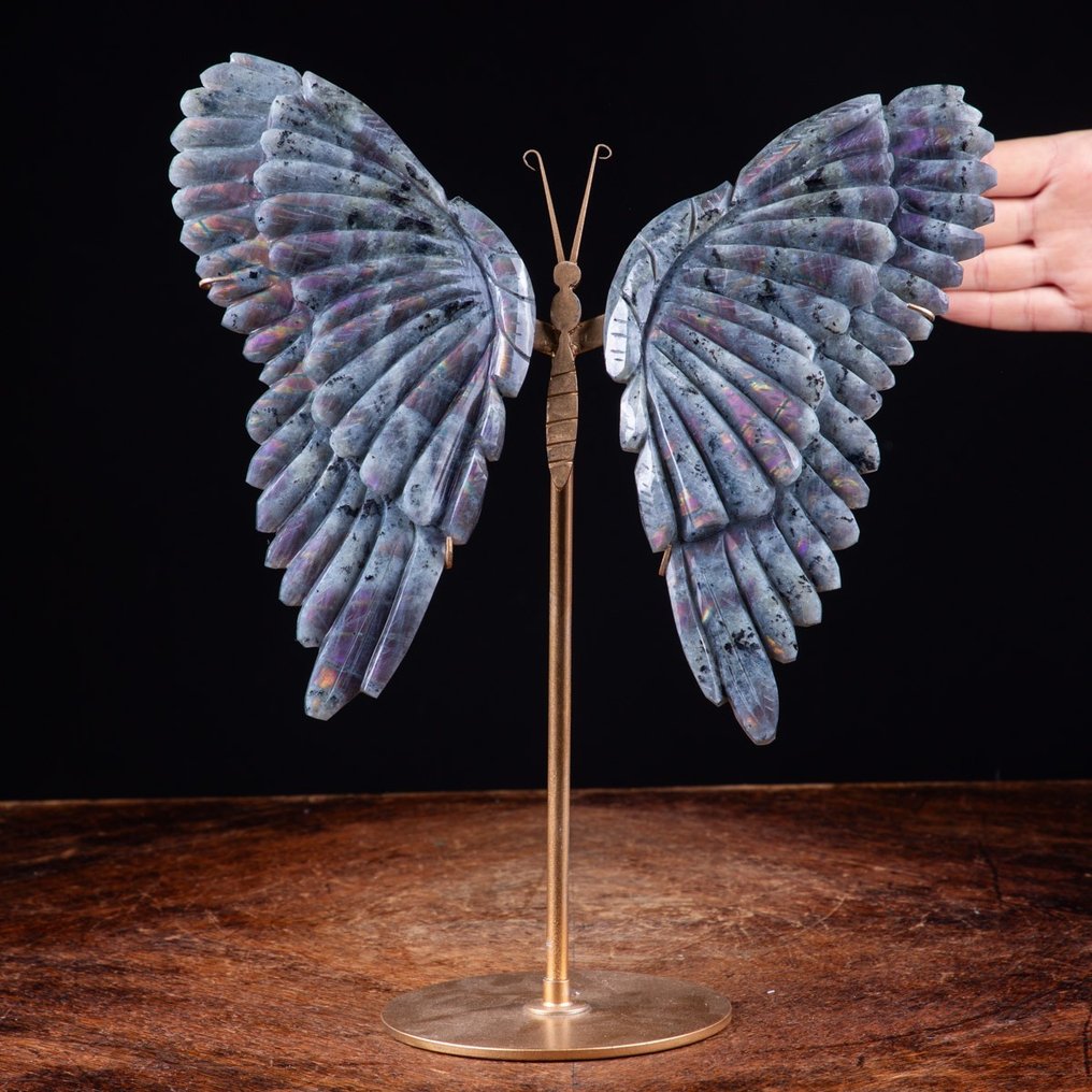 Escultura de alta qualidade - Labradorita - Asas de borboleta - Altura: 330 mm - Largura: 275 mm- 1467 g #1.1