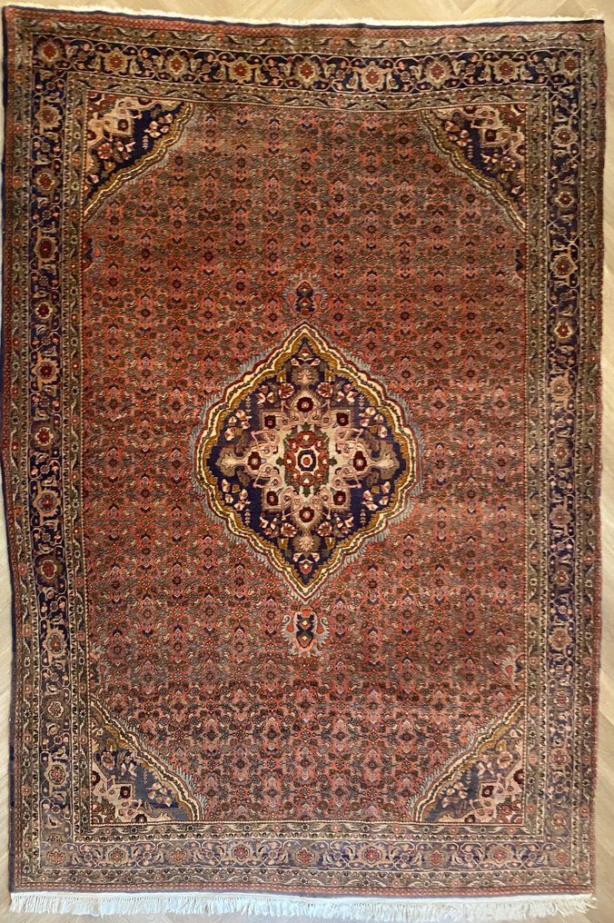 Bidjar - Carpet - 340 cm - 230 cm #1.1