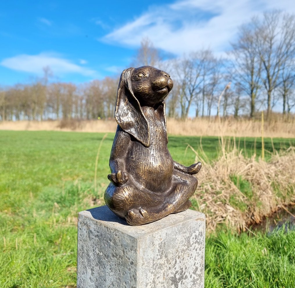 Statuette - A meditating zen hare - Bronze #1.2