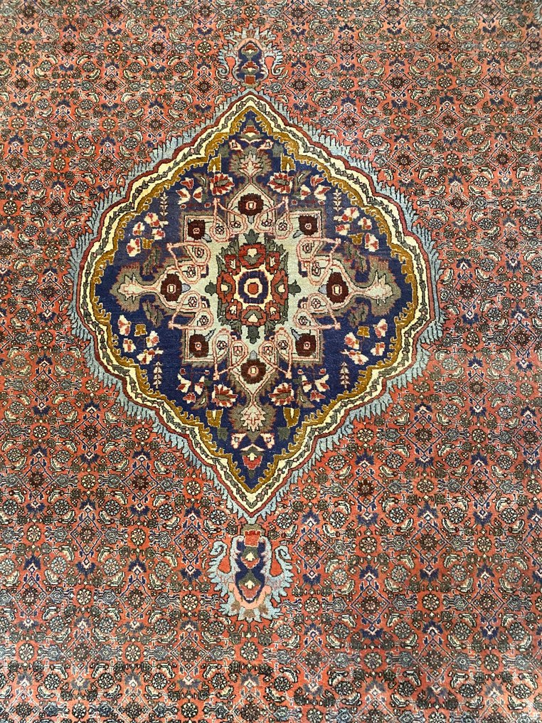 Bidjar - Carpet - 340 cm - 230 cm #1.2