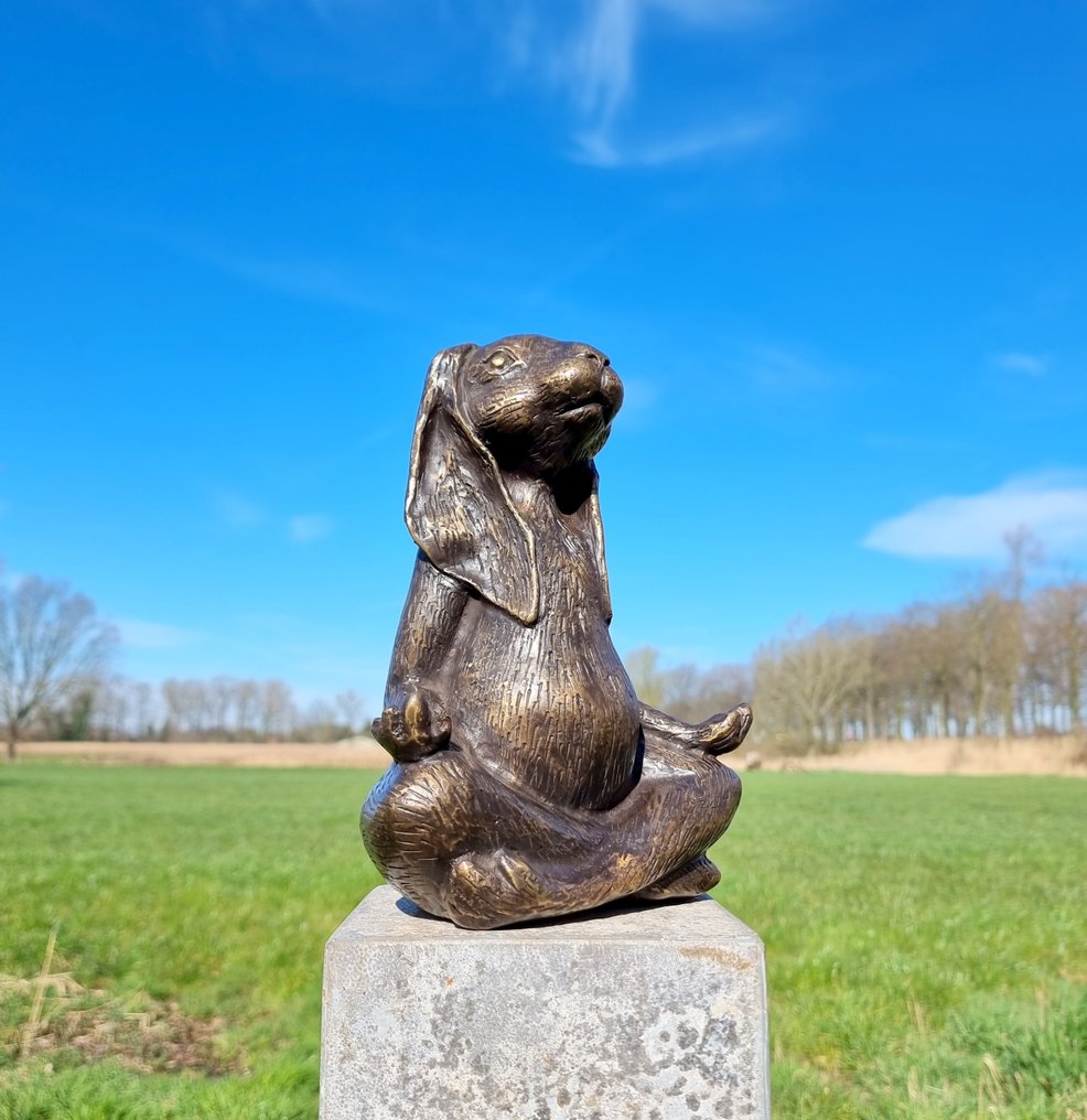 Statuette - A meditating zen hare - Bronze #1.1