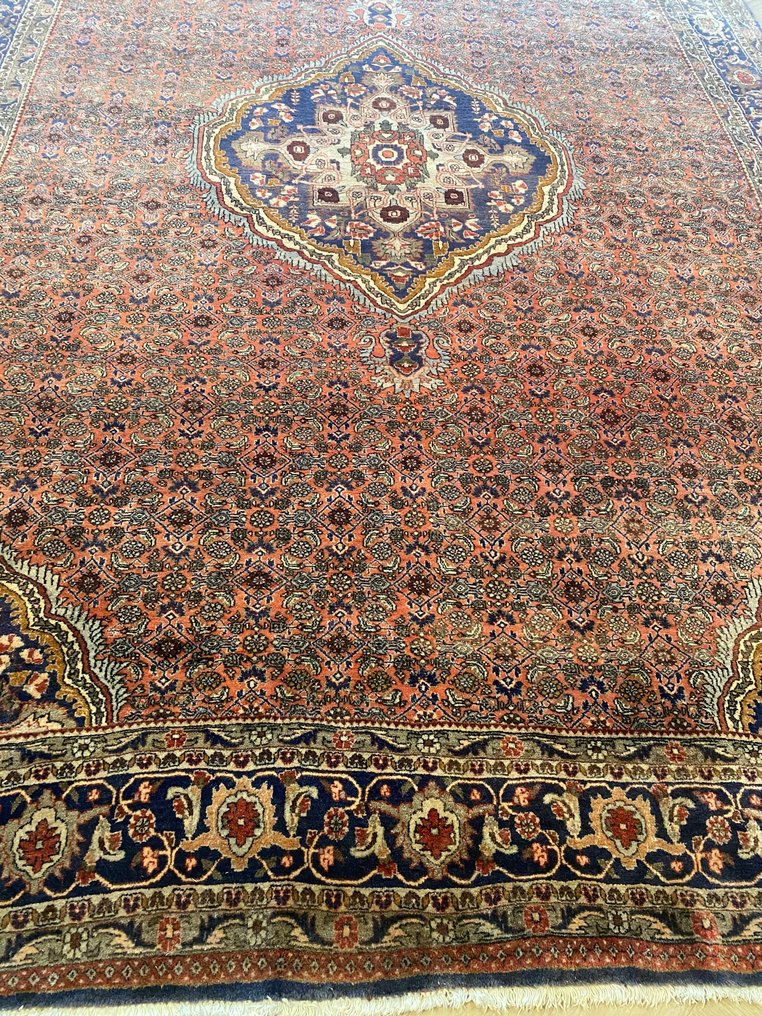 Bidjar - Carpet - 340 cm - 230 cm #2.1