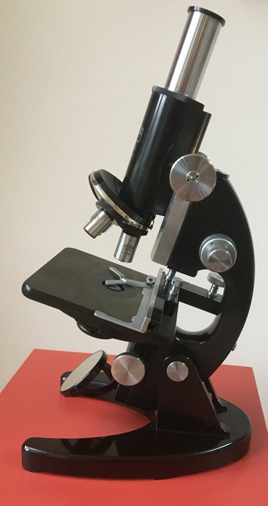 Mikroszkóp - Carl Zeiss Jena 286681 #1.1