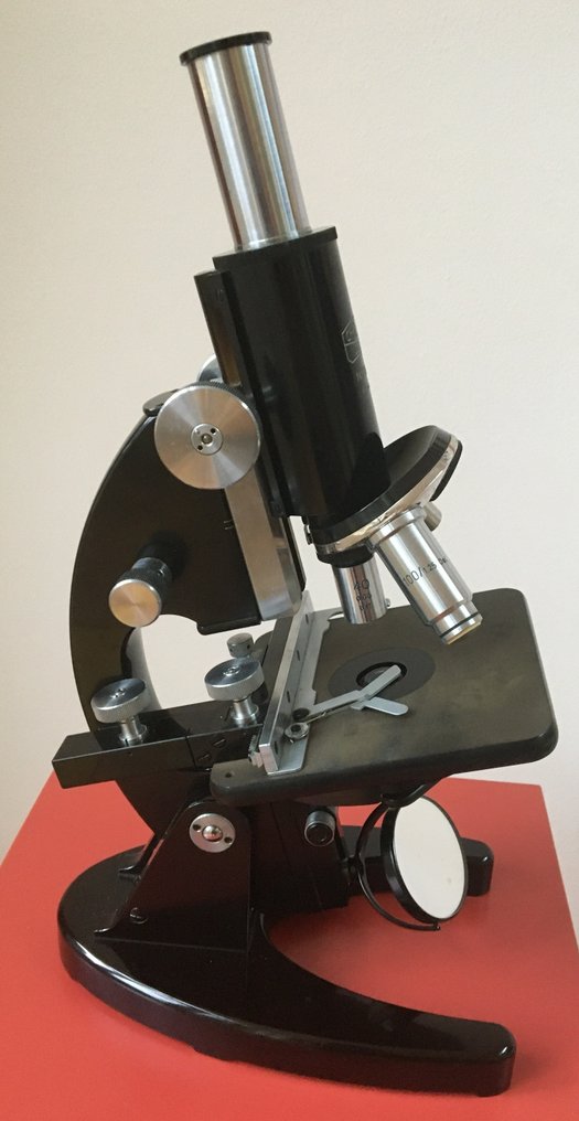 Mikroszkóp - Carl Zeiss Jena 286681 #2.1