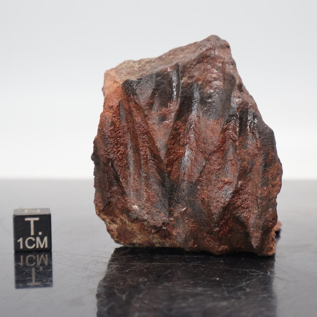 Meteorit fabulos cu regmaglypts adânci Condrită NWA cu crustă de fuziune - 235 g #2.1