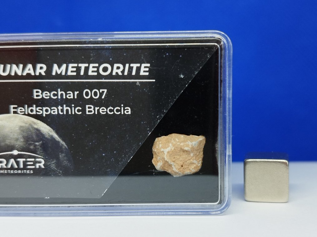 正宗的月球隕石。 新的！ BECHAR 007（阿爾及利亞，2022 年）。 - 0.47 g #2.1