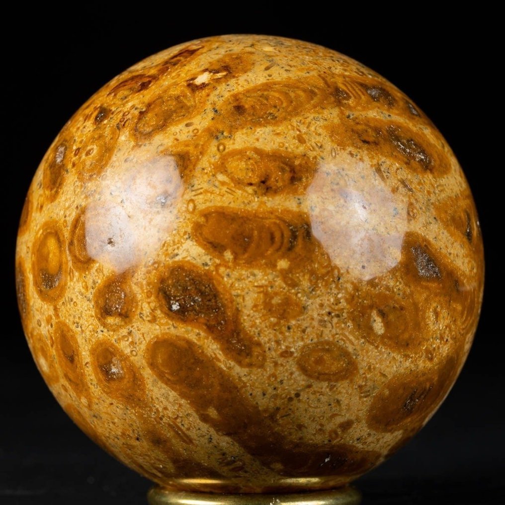 Gömb az agatizált fosszilis korallban - Fosszilis mátrix - 77.5 mm #1.2