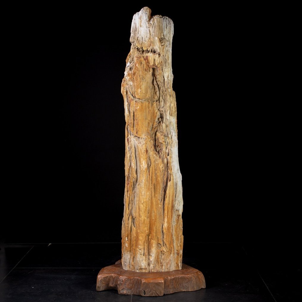 Fossiele houten stam - Dipterocarpus sp. - Fossiel fragment - 116 cm - 25 cm #2.1