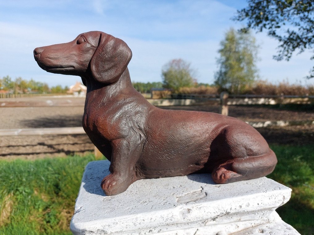 Statue, zwaar en stoer beeld van een teckel - 24 cm - cast stone #1.0