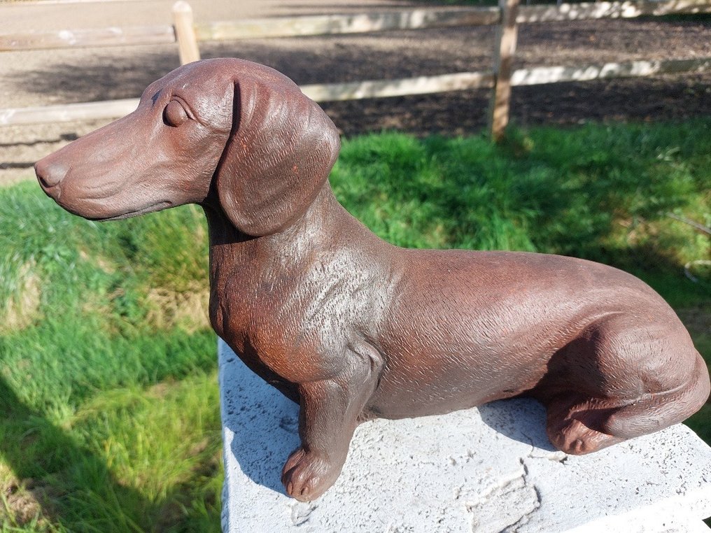 Statue, zwaar en stoer beeld van een teckel - 24 cm - pierre moulée #3.1