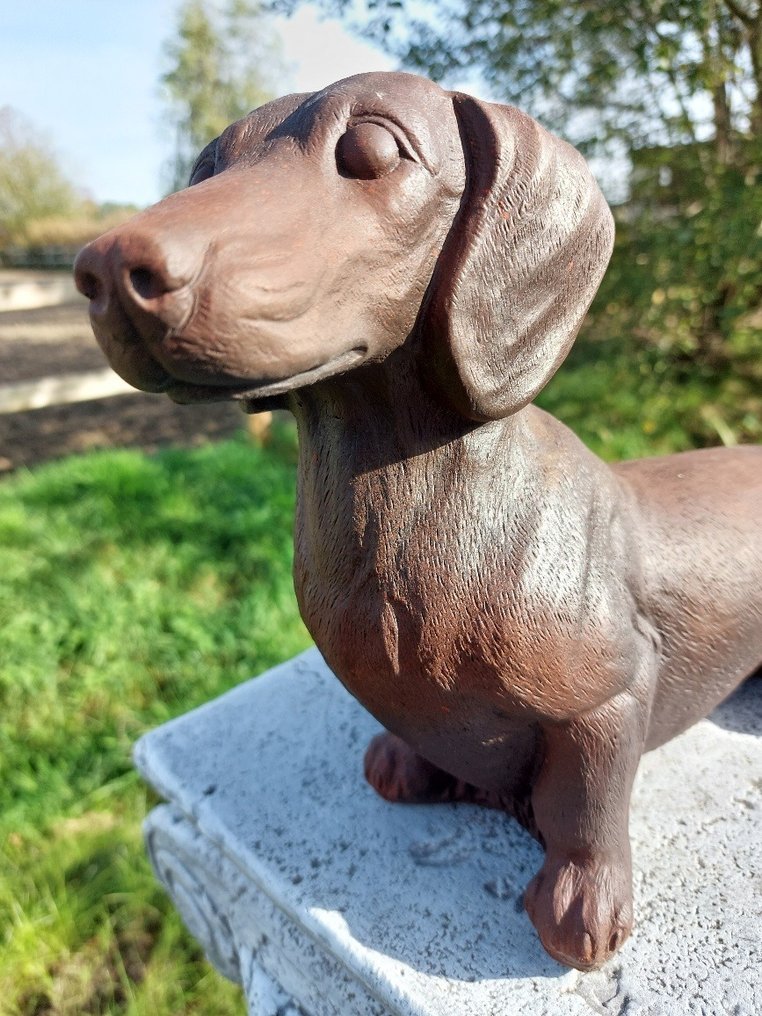 Statue, zwaar en stoer beeld van een teckel - 24 cm - cast stone #4.3
