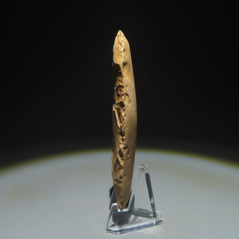 Neolithischen Stein Werkzeug. 3000-2000 v. Chr. 9,8 cm L.  (Ohne Mindestpreis) #1.2