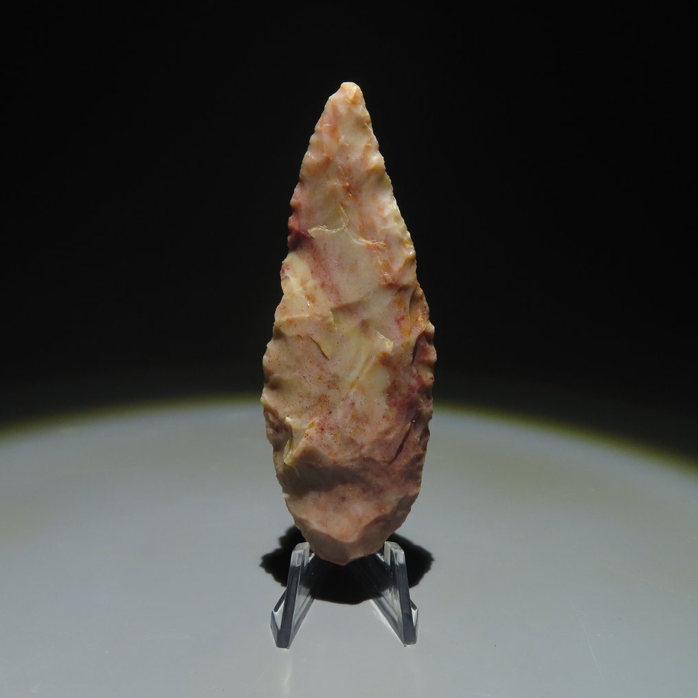 Neolithisch Steen Hulpmiddel. 3000-2000 v.Chr. 8,3 cm L.  (Zonder Minimumprijs) #1.1