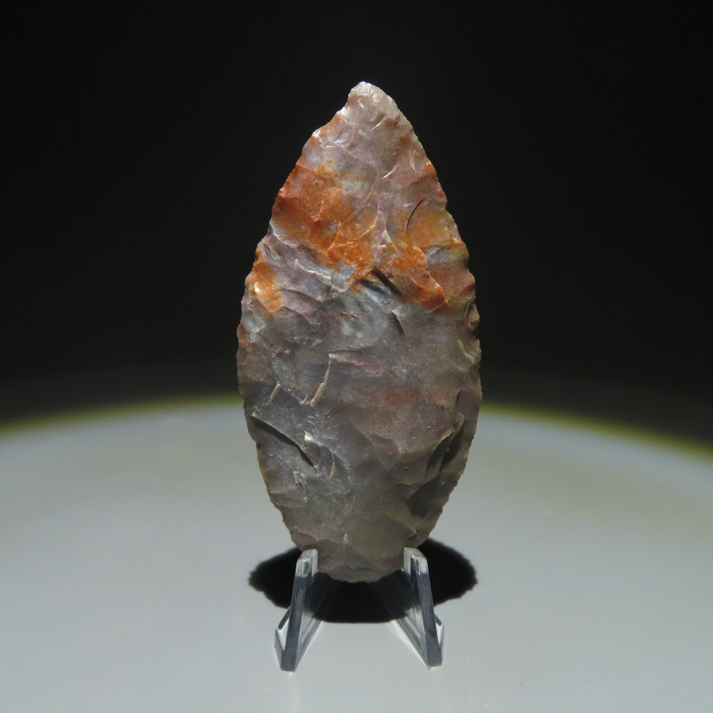 Neolithic Stone Tool. 3000-2000 BC. 7.3 cm L. Spanish Import License. #2.1